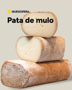 Queso Pata de Mulo